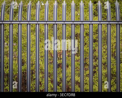 Symmetrical front view of a black steel palisade security fence with pointed pales set against a lush green leafy background in a garden or park Stock Photo