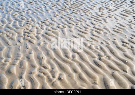 Wadden sea low ebb tide, shallow water, North Sea sand ripples formed by water or wind on sandy beach, sedimentary rock Stock Photo