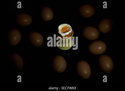 Soft Boiled Egg in Egg Cup Still Life Stock Photo