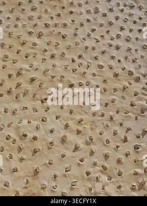 Mediterranean wall with embedded stones in plaster – repeating structure, ideal as background texture. Close-up. Copyspace. Stock Photo