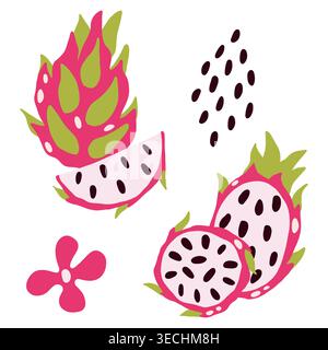 Vector dragon fruit on a light background. Exotic fruit, Pitahaya, set, piece, element Stock Vector