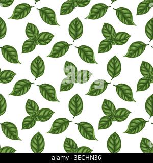 Green basil leaves cartoon vector seamless pattern. Hand drawn herbal foliage on white background. Vegetable ornament for cooking and kitchen design. Natural floral print for wallpaper and packaging. Stock Vector