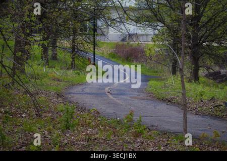 Curving paved path through spring woodland near industrial building in Naperville Illinois with trees and greenery Stock Photo