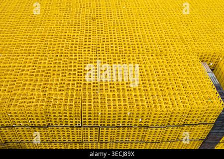 Aerial view of a vast expanse of stacked yellow plastic crates creating a repetitive geometric pattern in an industrial setting. Stock Photo