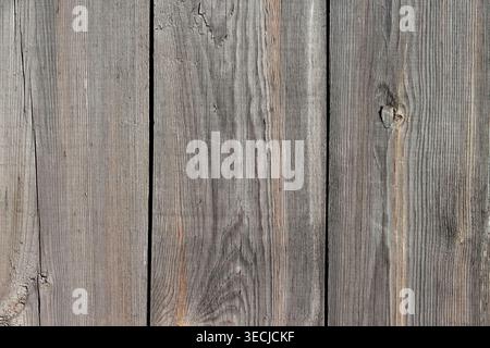 Macro horizontal full frame background texture of old shabby grey wooden wall planks with vertical cracks and knots Stock Photo