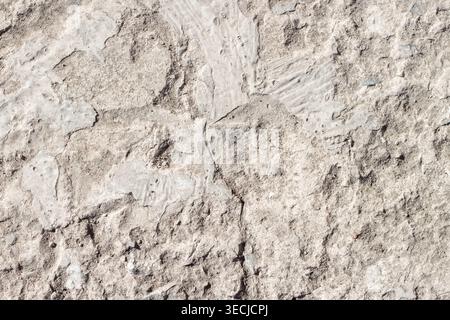 Macro horizontal full frame background texture of rough grunge grain bumpy grey concrete wall surface with deep cracks Stock Photo