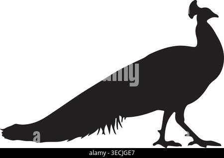 Side View Peacock Silhouette with Long Tail Minimal Black Vector Stock Vector