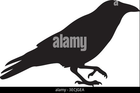 Black Crow Bird Silhouette Vector Illustration Isolated On White Background Stock Vector