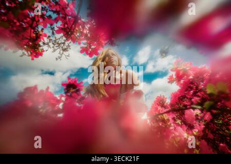 Woman Looking up through pink flowers with cloudy blue sky Stock Photo
