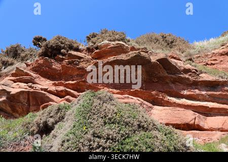 Looking up at eroded red sandstone cliff between Johnshaven and St Cyrus Aberdeenshire Scotland  April 2026 Stock Photo