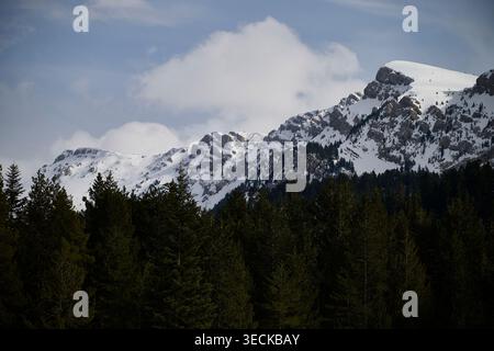 Snow-covered ridges and jagged peaks of the Cadi-Moixero mountains rise above a dense pine forest under a cloudy sky, creating a dramatic winter lands Stock Photo