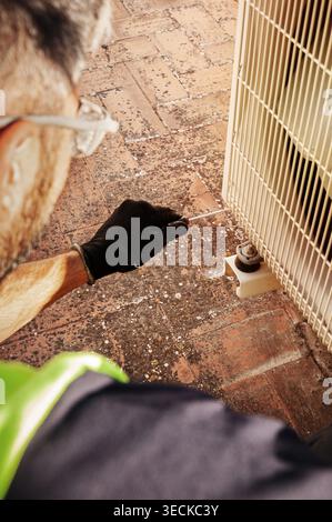 Close up of a maintenance technician wearing glove and safety vest inspecting an outdoor HVAC condenser with a screwdriver, showing occupational safet Stock Photo