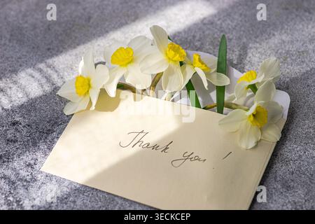 A bouquet of daffodils emerges from a gratitude card held in an envelope, casting a gentle shadow over the surface, symbolizing spring's beauty and ap Stock Photo