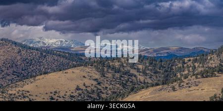 Colorado aerial view of rolling hills with scattered pine trees leading to snow-capped mountain peaks under a dramatic dark cloudy sky. Stock Photo