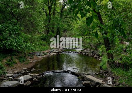 A meandering stream in a dense forest Stock Photo