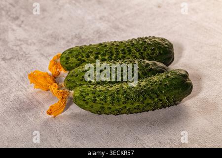 Three fresh green gherkins, dried orange-yellow cucumber flowers arranged on textured light grey surface. Studio shot, soft lighting, natural shadows Stock Photo