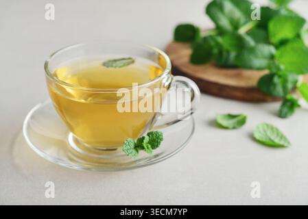 Glass cup of fresh mint tea on a light background with mint leaves on a wooden board in the background. Concept of healthy herbal drink, relaxation, a Stock Photo