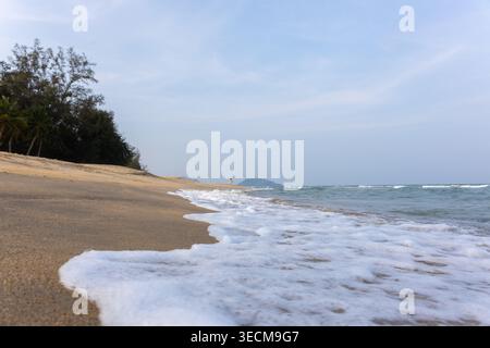 Peaceful beach ocean wave foam gently washing ashore over soft brown sand near dark green coastal tree under beautiful calm blue sky feeling completel Stock Photo
