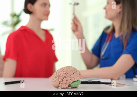 Doctor demonstrating brain model during consultation, patient attentive in modern clinic, stethoscope and paperwork on desk, Stock Photo