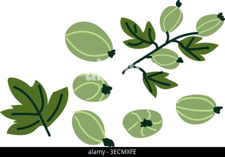 Abstract gooseberry set. Cartoon berry with flower and leaves. Gooseberry elements. Can used for jam labels, kitchen design. Stock Vector