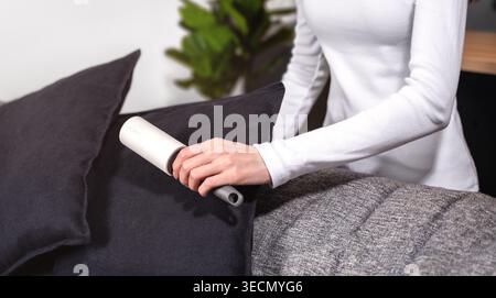 Woman uses adhesive sticky lint roller removing dust and pet hair from black pillow on sofa. Concept of textile hygiene, household cleaning routine an Stock Photo