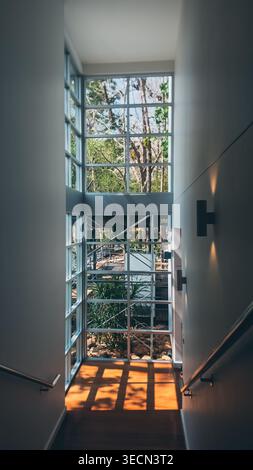 Modern interior staircase with large window and natural sunlight shadows, Minimal architecture corridor with glass wall and garden view in bright Stock Photo