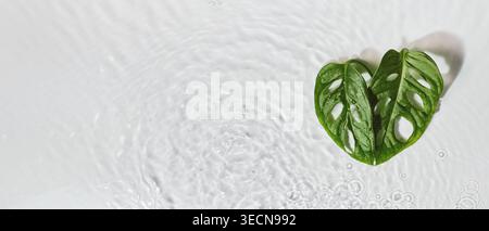 Monstera adansonii leaves forming heart shape floating on clear water surface with ripples Stock Photo