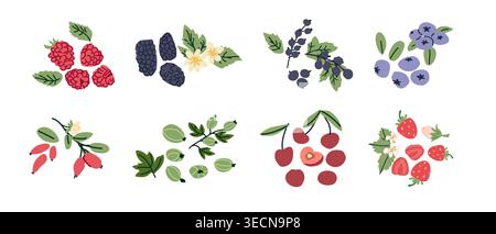 Abstract berries set. Forest and garden elements: raspberry, blackberry, blueberry, strawberry. Can used for jam labels, kitchen design. Cartoon berri Stock Vector