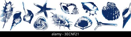 Halftone seashell set blue cyanotype vector illustration Stock Vector