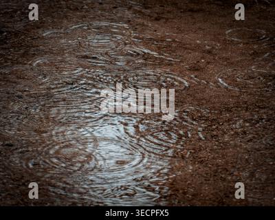 Raindrops creating ripples on a muddy puddle surface during a spring rainstorm showing natural texture and reflection Stock Photo