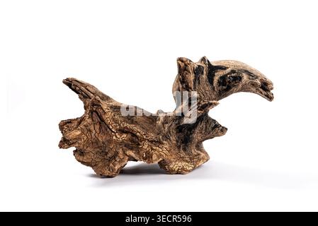 Driftwood branch demonstrating weathered texture, isolated on a clean white background Stock Photo