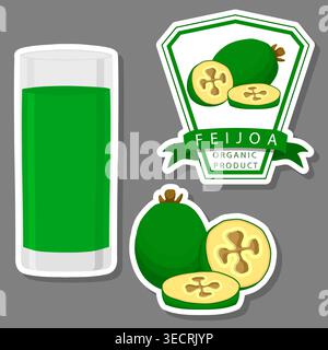 Illustration on theme big set different types juice feijoa in glass cup, juice feijoa pattern consisting of collection organic beverage to glass cup, Stock Vector