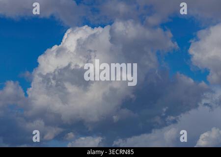 Large fluffy cumulus cloud against a blue sky Stock Photo