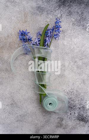 Top view of blue hyacinth flowers with green leaves, wrapped in soft pastel ribbon on a textured stone background, creating a minimalist interior stil Stock Photo