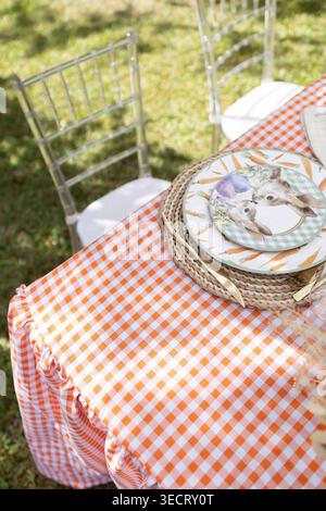 Sunny Easter lunch on a farm with an orange gingham tablecloth, rustic place setting and bunny plate, ready for a surprise visit from the Easter bunny Stock Photo