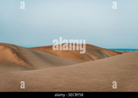 Wide view of golden sand dunes with soft ripples and a calm Atlantic horizon under a pale sky, capturing the serene desert-like landscape of Maspaloma Stock Photo