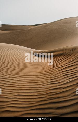 Wind-sculpted sand dunes with rippled patterns under soft light in Maspalomas, Gran Canaria. Minimal desert landscape, natural texture, calm atmospher Stock Photo