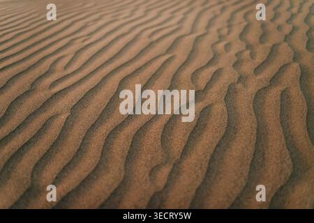 Close-up of wind-shaped ripples across warm desert sand, forming flowing lines and natural texture. Minimal abstract landscape background with soft li Stock Photo