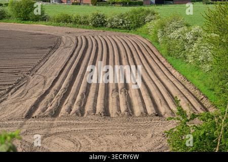Freshly ploughed field with curved ridges near rural farm Stock Photo