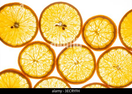 Bright citrus fruit slices arranged as a clean background, featuring orange or lemon rounds with translucent pulp. Ideal for food, summer, freshness, Stock Photo