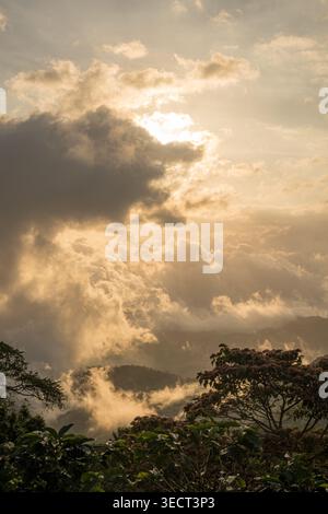 Golden sunrise breaks through dramatic clouds above a Costa Rica cloud forest, with mist rolling over distant mountains and lush tropical trees in the Stock Photo