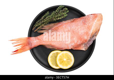 Whole ocean red perch fish with thyme and lemon slices on isolated background. Fresh marine seafood ingredient Stock Photo