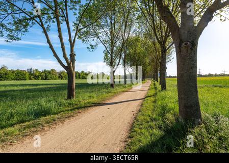 Cycling and hiking trail in the west of Frankfurt, Hesse, Germany Stock Photo