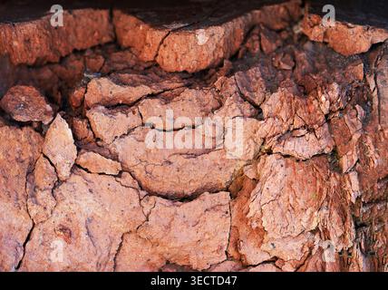 Demaged bricks and stone red orange surface Stock Photo