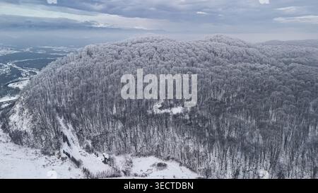 Aerial scene of a frost laden forested ridge sweeping across the horizon as a river bends below. Icy trees and misty light merge into a vast tranquil Stock Photo
