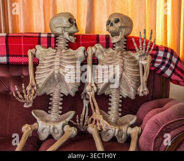 Two plastic skeletons relax side by side, chatting on a cozy couch — a playful reminder that true friendship can last forever. Stock Photo