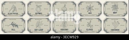 Vintage herb labels in elegant, aged frames Stock Vector