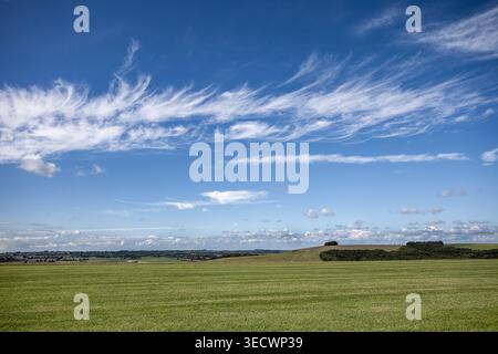 Wide open countryside beneath sweeping cirrus clouds, with delicate wisps stretching across a deep blue summer sky. Stock Photo