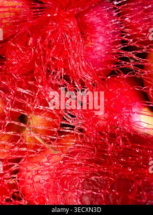 Closeup Of Shiny Apples Enclosed In Protective Netting. Detailed View Of Glossy Red Apples Wrapped In Colorful Packaging Stock Photo