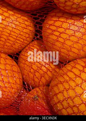 Dense Cluster Of Oranges Stored In Vibrant Red Mesh Container. Arrangement Of Multiple Oranges Packed Into Vivid Red Net For Display Or Sale Stock Photo